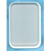 Disposable Dissecting Tray Small - Set of 12