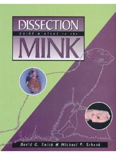 A Dissection Guide and Atlas to the Mink